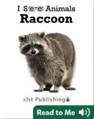 I See Animals: Raccoon