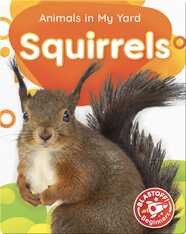 Animals in My Yard: Squirrels
