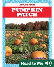 Around Town: Pumpkin Patch