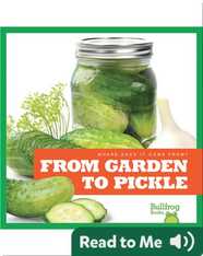 Where Does It Come From?: From Garden to Pickle