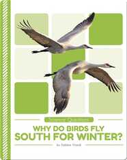 Science Questions: Why Do Birds Fly South for Winter?