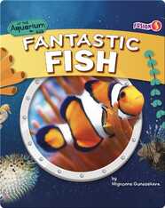 At the Aquarium: Fantastic Fish