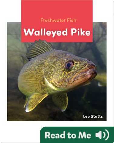 Freshwater Fish: Walleyed Pike book