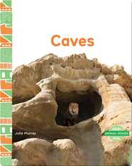 Animal Homes: Caves