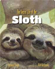 The Secret Life of the Sloth