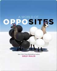A World of Opposites