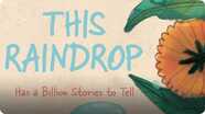 This Raindrop: Has a Billion Stories to Tell