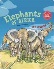 Elephants of Africa