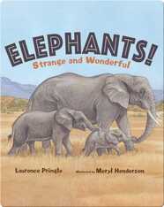 Elephants!: Strange and Wonderful