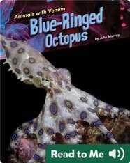 Animals with Venom: Blue-Ringed Octopus