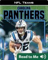 NFL Teams: Carolina Panthers