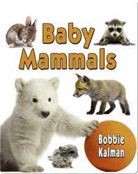 Baby Mammals book