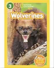 National Geographic Readers: Wolverines