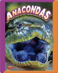 Slithering Snakes: Anacondas