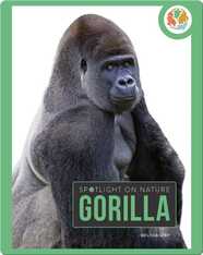 Spotlight on Nature: Gorilla