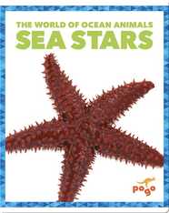 The World of Ocean Animals: Sea Stars