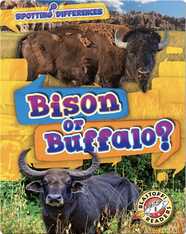 Spotting Differences: Bison or Buffalo?