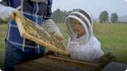 I Love: Beekeeping