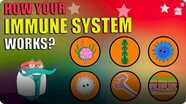 The Dr. Binocs Show: How Your Immune System Works