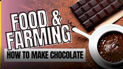 Food and Farming: How to Make Chocolate book