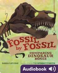 Fossil by Fossil: Comparing Dinosaur Bones