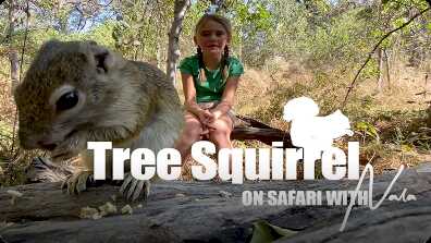 On Safari With Nala: Tree Squirrels book