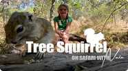On Safari With Nala: Tree Squirrels