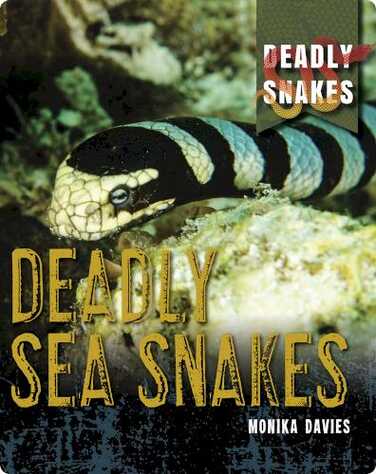 Deadly Snakes: Deadly Sea Snakes book