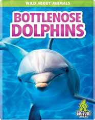 Wild About Animals: Bottlenose Dolphins