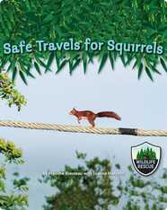 Safe Travels for Squirrels