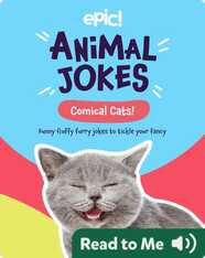 Animal Jokes: Comical Cats!