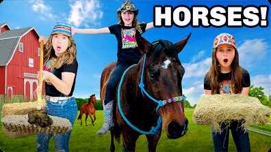 Love Animals? Learn All about Owning Horses book