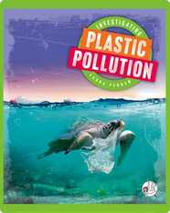 Investigating Plastic Pollution