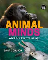 Animal Minds: What Are They Thinking?