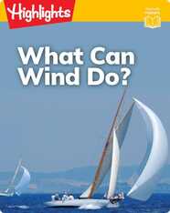 What Can Wind Do?