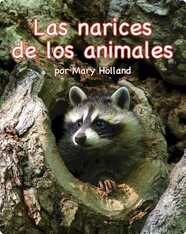 Las narices de los animales