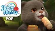 Consonant Bear