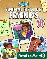 Animal Rescue Friends Book 17: A Very Long Weekend