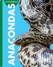 Curious about Anacondas
