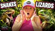 Snakes vs. Lizards: What's the Difference?