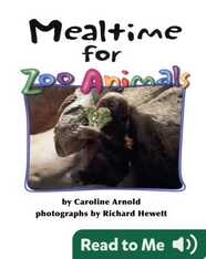 Mealtime for Zoo Animals