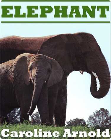 Elephant book
