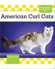 American Curl Cats