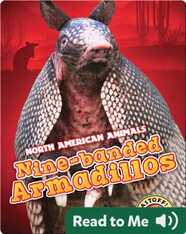 North American Animals: Nine-Banded Armadillos