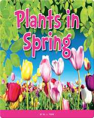 Plants in Spring