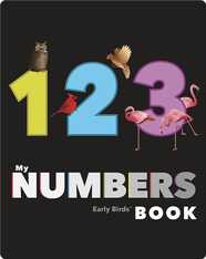 My Numbers Book (Early Birds Learning)