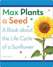 Max Plants a Seed: A Book about the Life Cycle of a Sunflower
