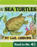 From Egg to Sea Turtle - Lerner Publishing Group