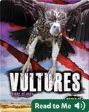 Birds Of Prey Book by Alan Walker