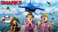 Learn About Sharks for Kids | Fun Facts About Hammerhead Sharks!